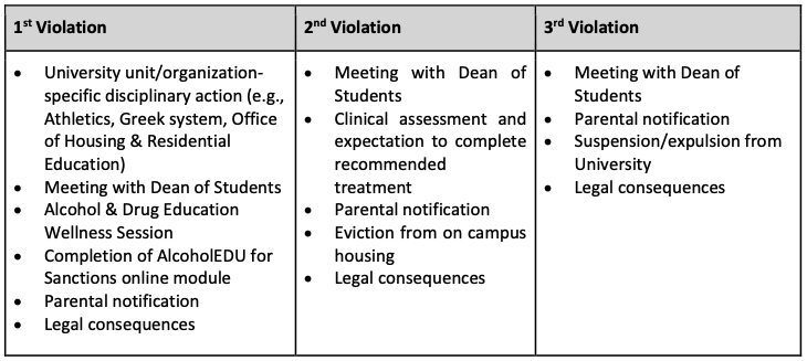 student violations